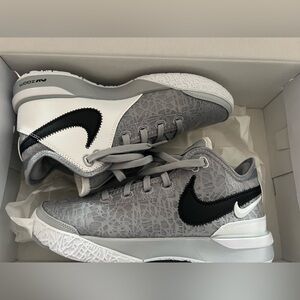 Nike Lebron Basketball Shoes